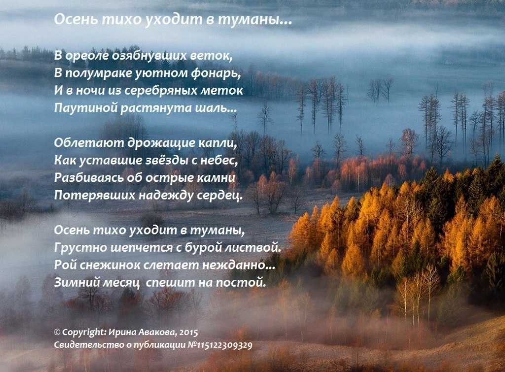 Полы в деревянном доме: какой пол и как сделать в деревянном доме, какие материалы использовать для устройства полов в деревянном доме