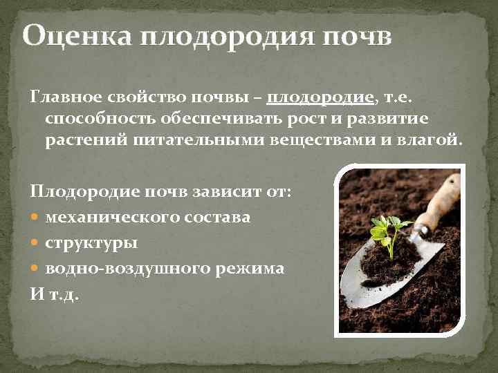 Топ-8 способов как повысить плодородие почвы