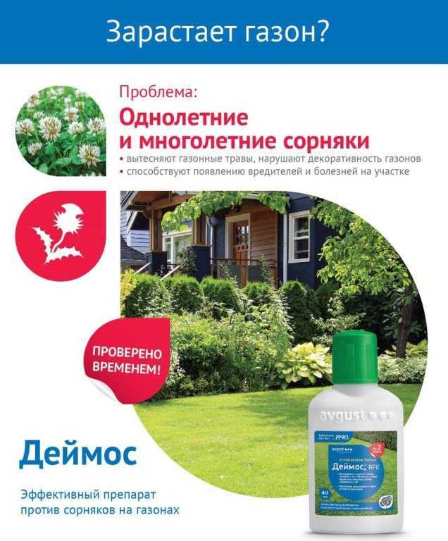 Как уничтожить грибы и их споры в домашних условиях? - рекомендации на ydoo.info