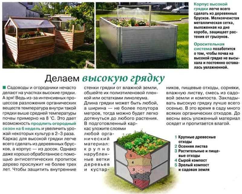 Сооружение тёплых грядок своими руками по шагам