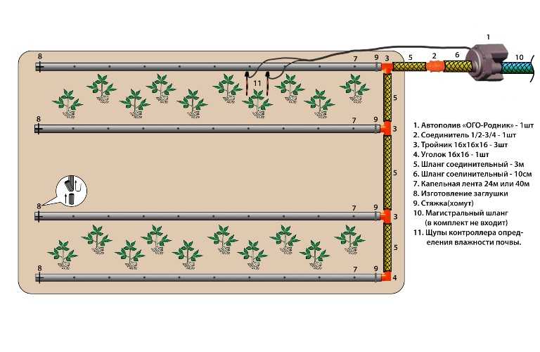 Капельный полив в теплице: принцип действия, монтаж и преимущества системы