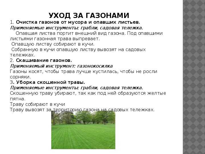 Английский газон: делаем своими руками