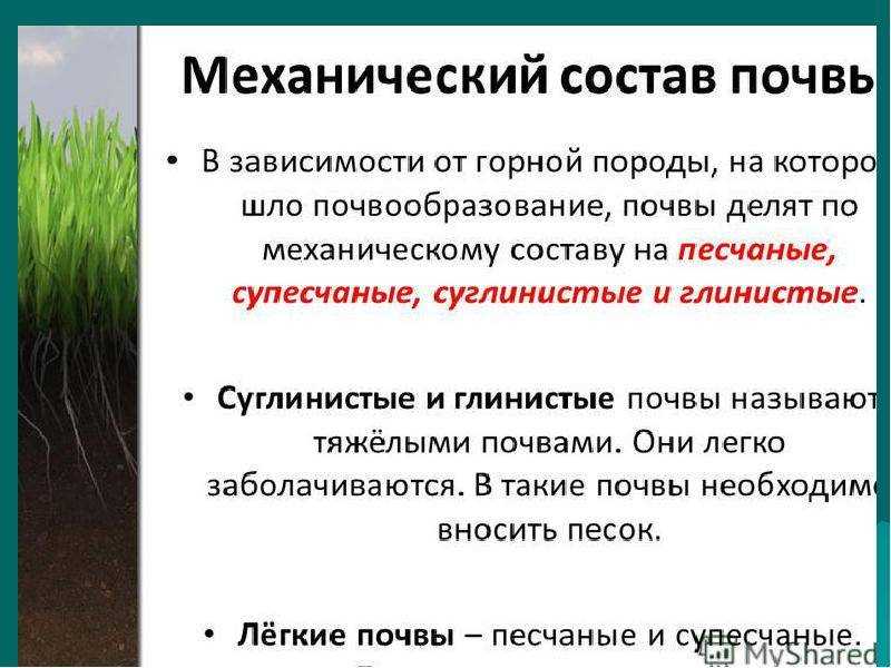 Как можно повысить плодородие почвы. эффективные способы