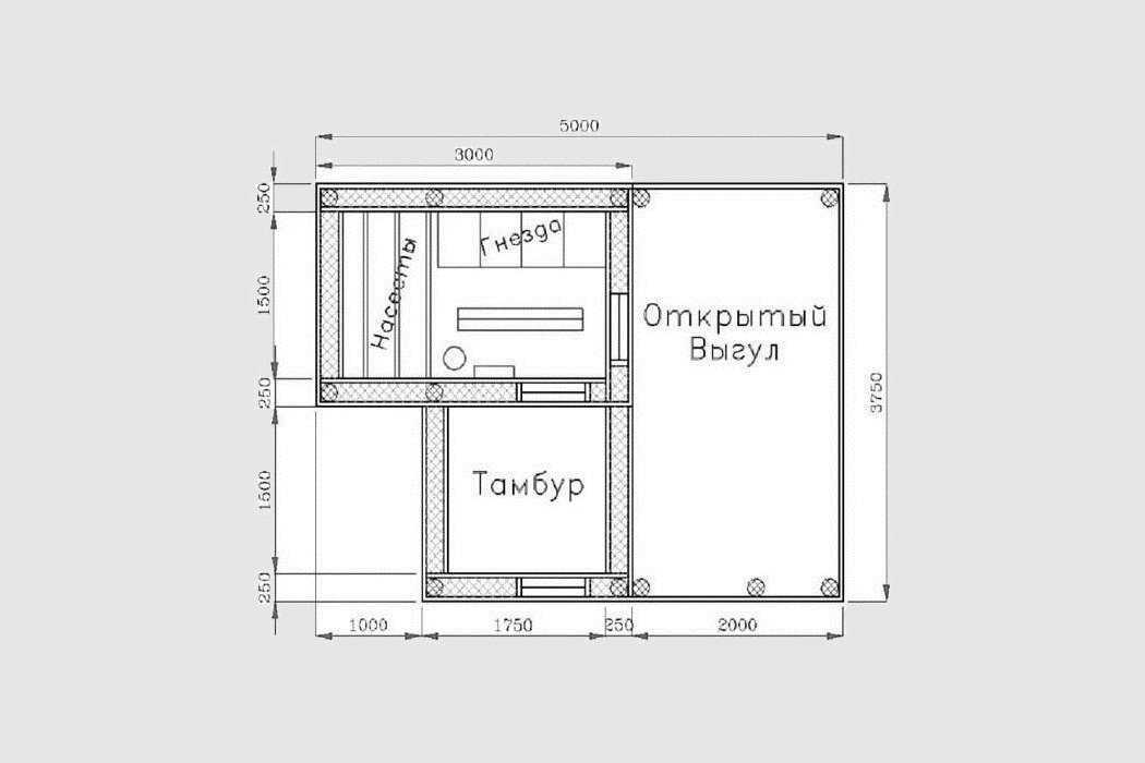 Чертеж курятника на 10 кур с размерами и фото