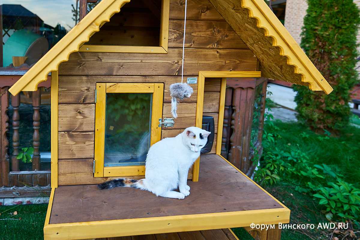 Домик для кошки своими руками: варианты, чертежи, размеры, каноны изготовления | строй легко