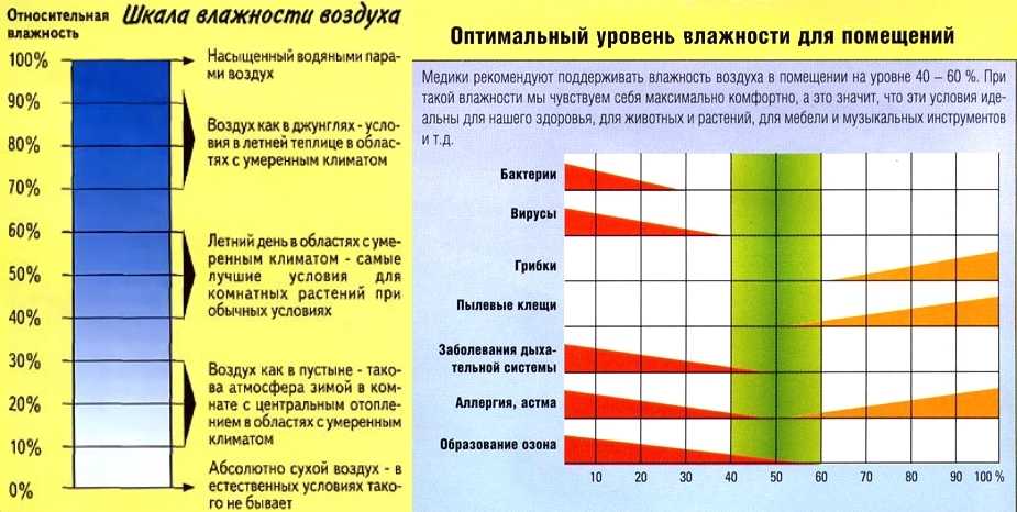 Какая влажность воздуха должна быть в квартире: норма зимой и летом