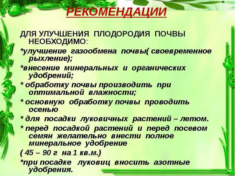 Как повысить плодородие почвы? топ-8 экологически безопасных вариантов +агротехнические методы | +отзывы