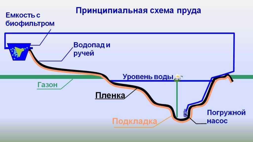 Как сделать пруд своими руками. практическое руководство