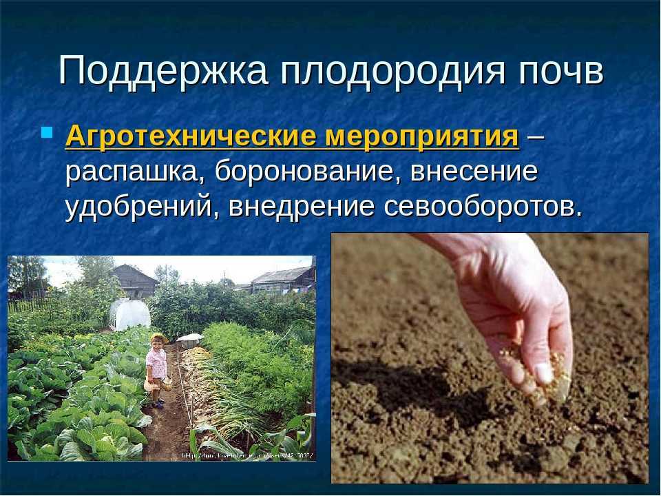 Как улучшить почву – агротехнические приемы, завоз качественного грунта