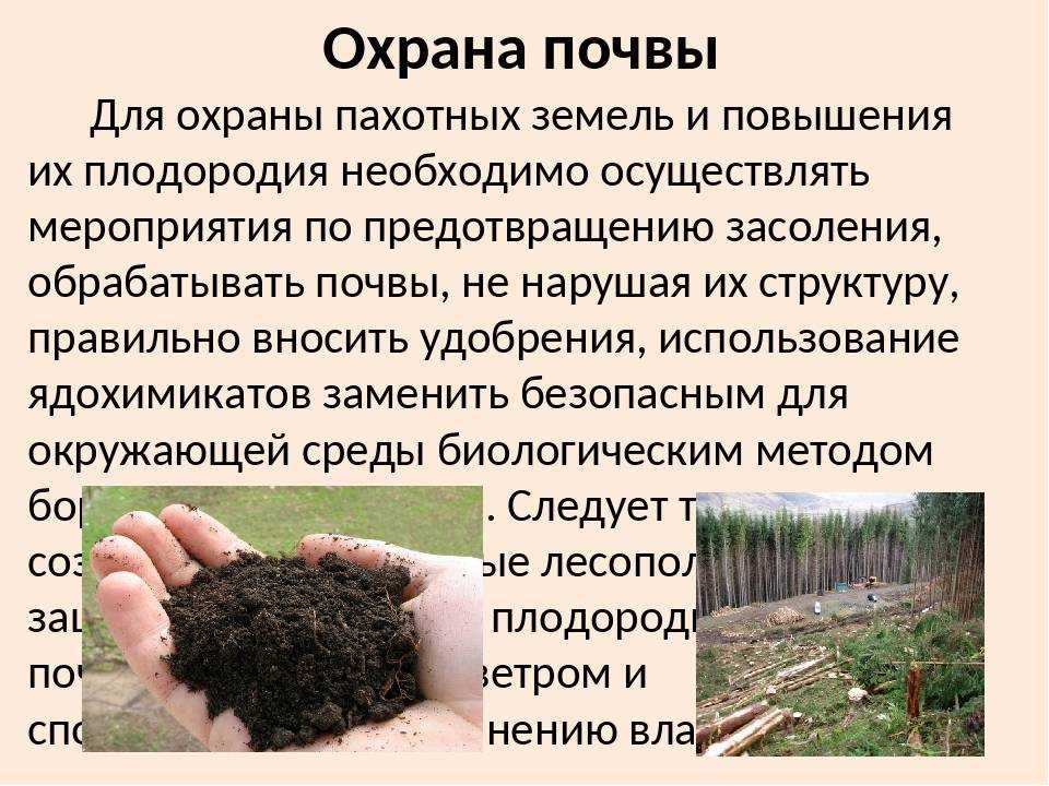 10 полезных советов, как за один год улучшить старую почву на участке и в теплице