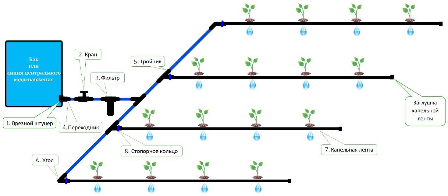 Делаем капельный полив в теплице из бочки