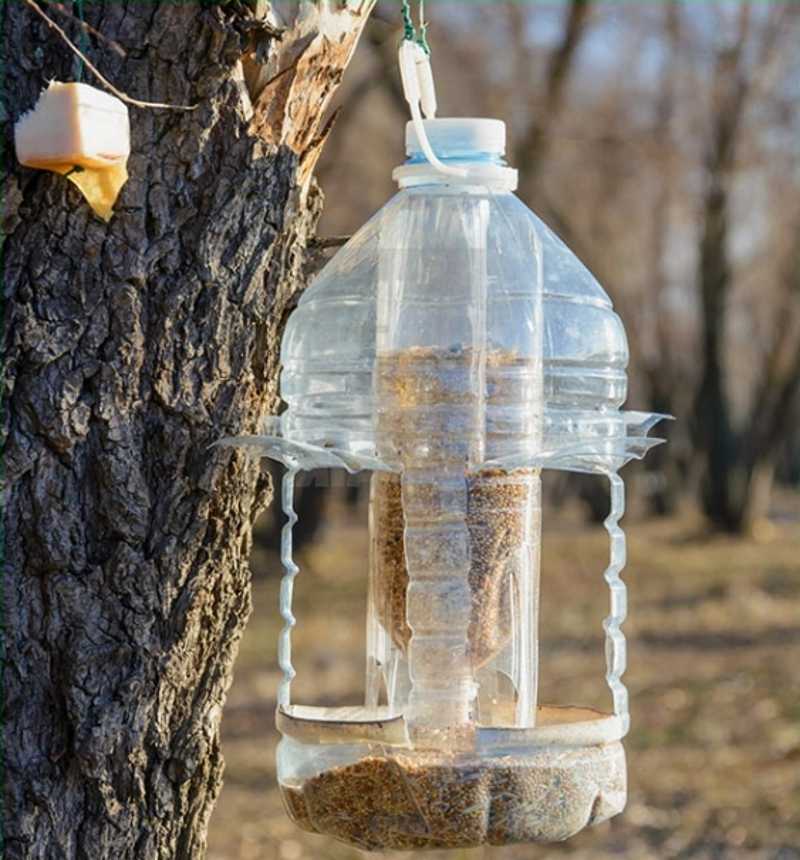 Как сделать кормушку для птиц своими руками?